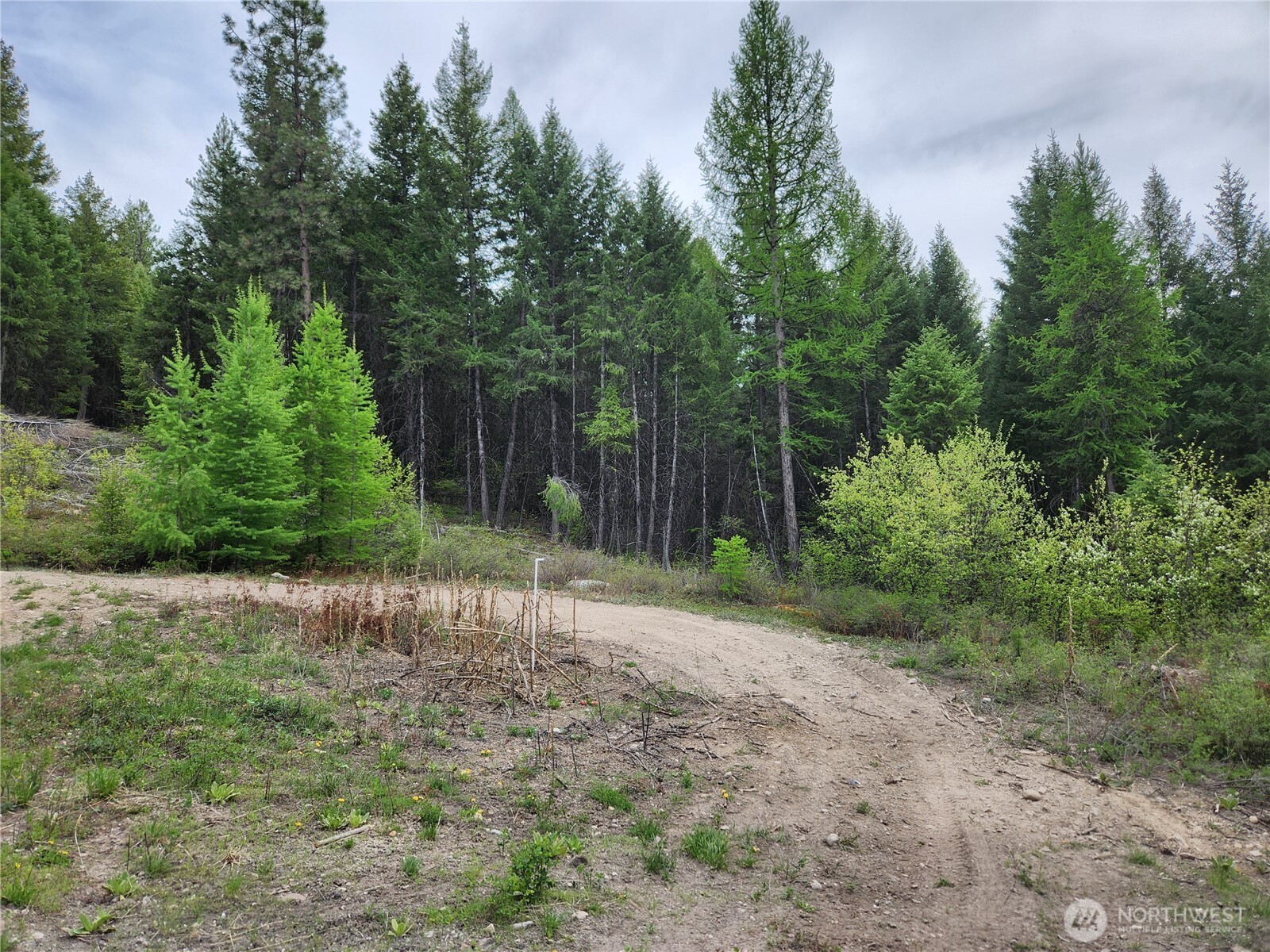 15 Wild Turkey Road , Republic, WA 99166