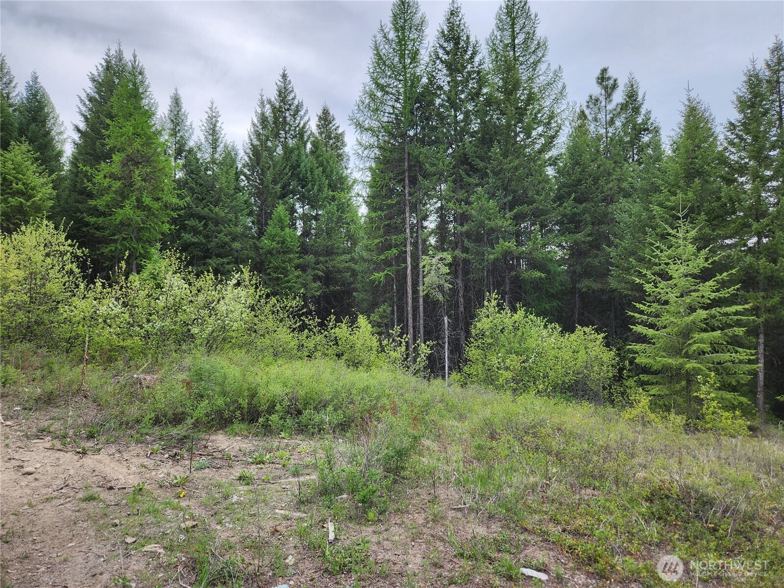 15 Wild Turkey Road , Republic, WA 99166