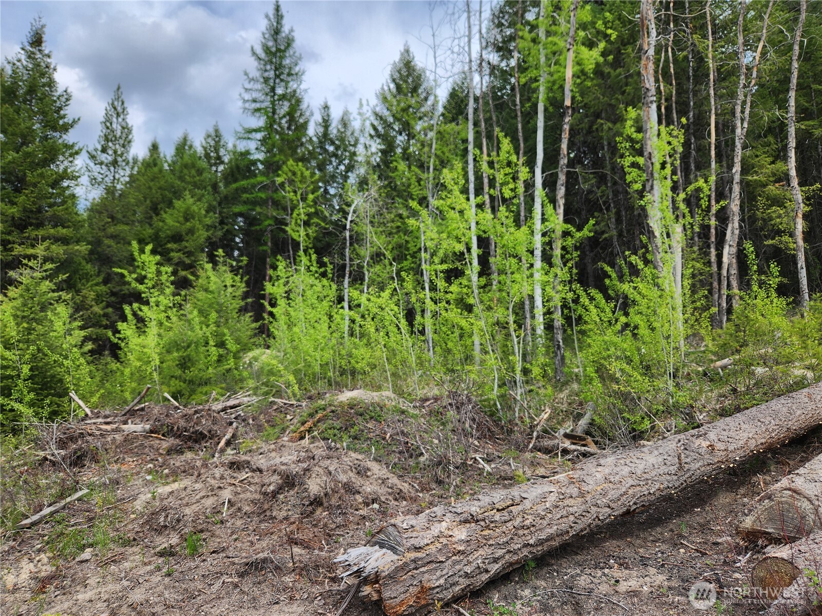 15 Wild Turkey Road , Republic, WA 99166