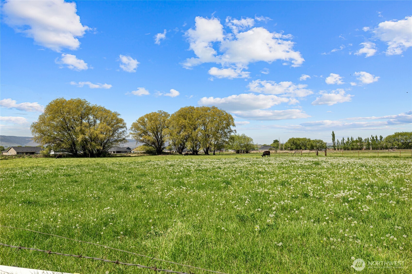 2661 Reecer Creek Rd , Ellensburg, WA 98926