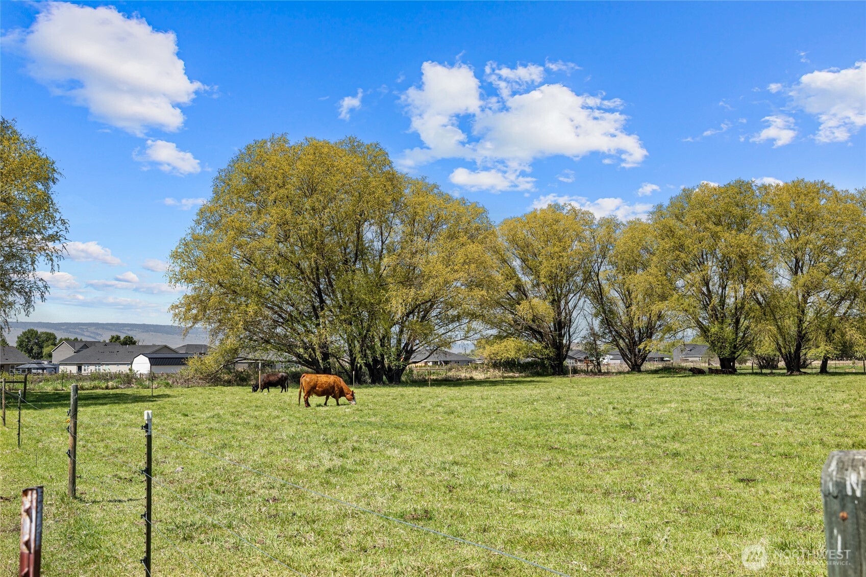 2661 Reecer Creek Rd , Ellensburg, WA 98926