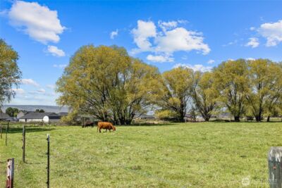 2661 Reecer Creek Rd , Ellensburg, WA 98926 - Photo 24