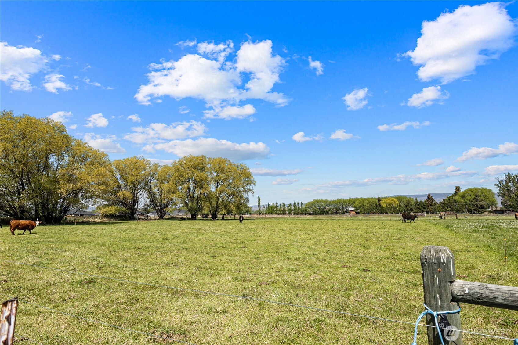 2661 Reecer Creek Rd , Ellensburg, WA 98926