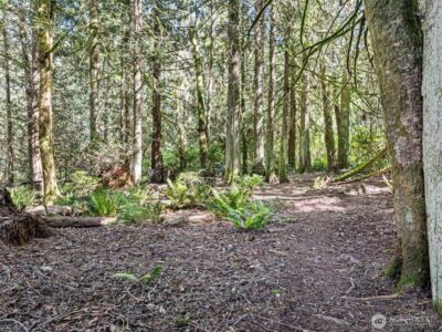 30978 Old Hansville Road NE, Kingston, WA 98346 - Photo 31