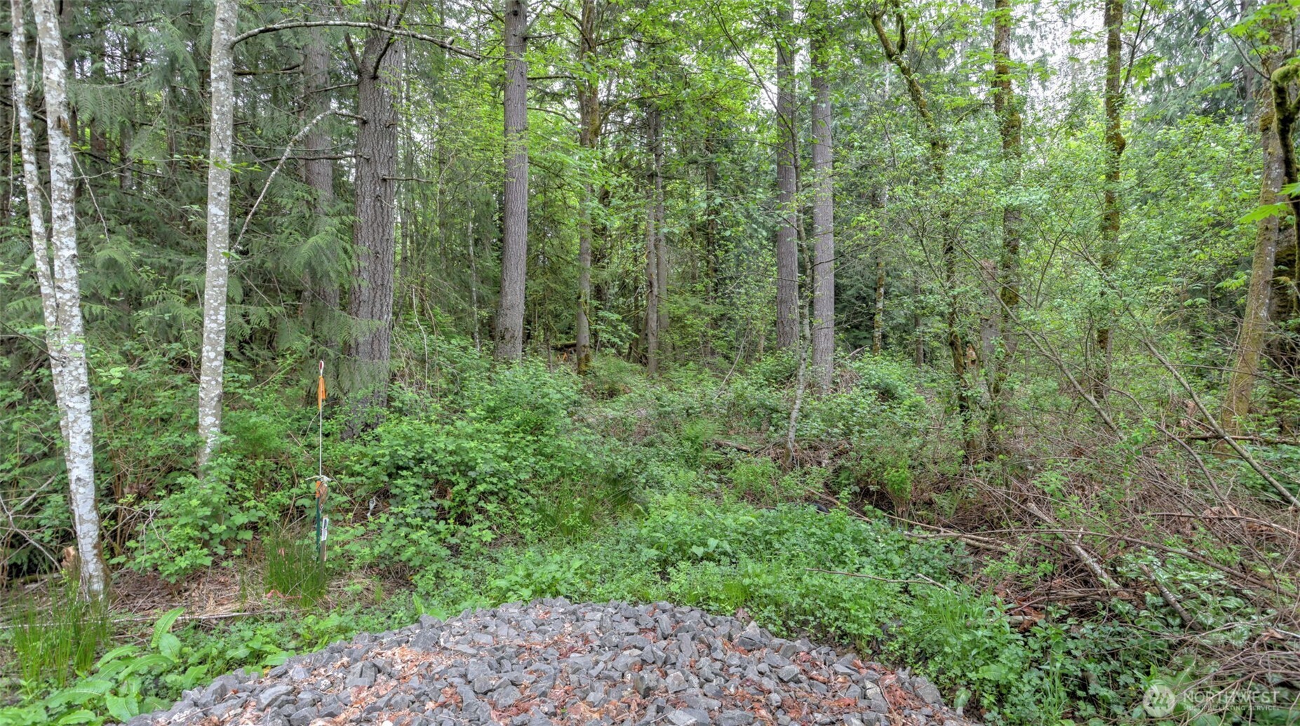 0 SE 311th Court , Covington, WA 98042