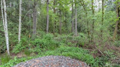 0 SE 311th Court , Covington, WA 98042 - Photo 4
