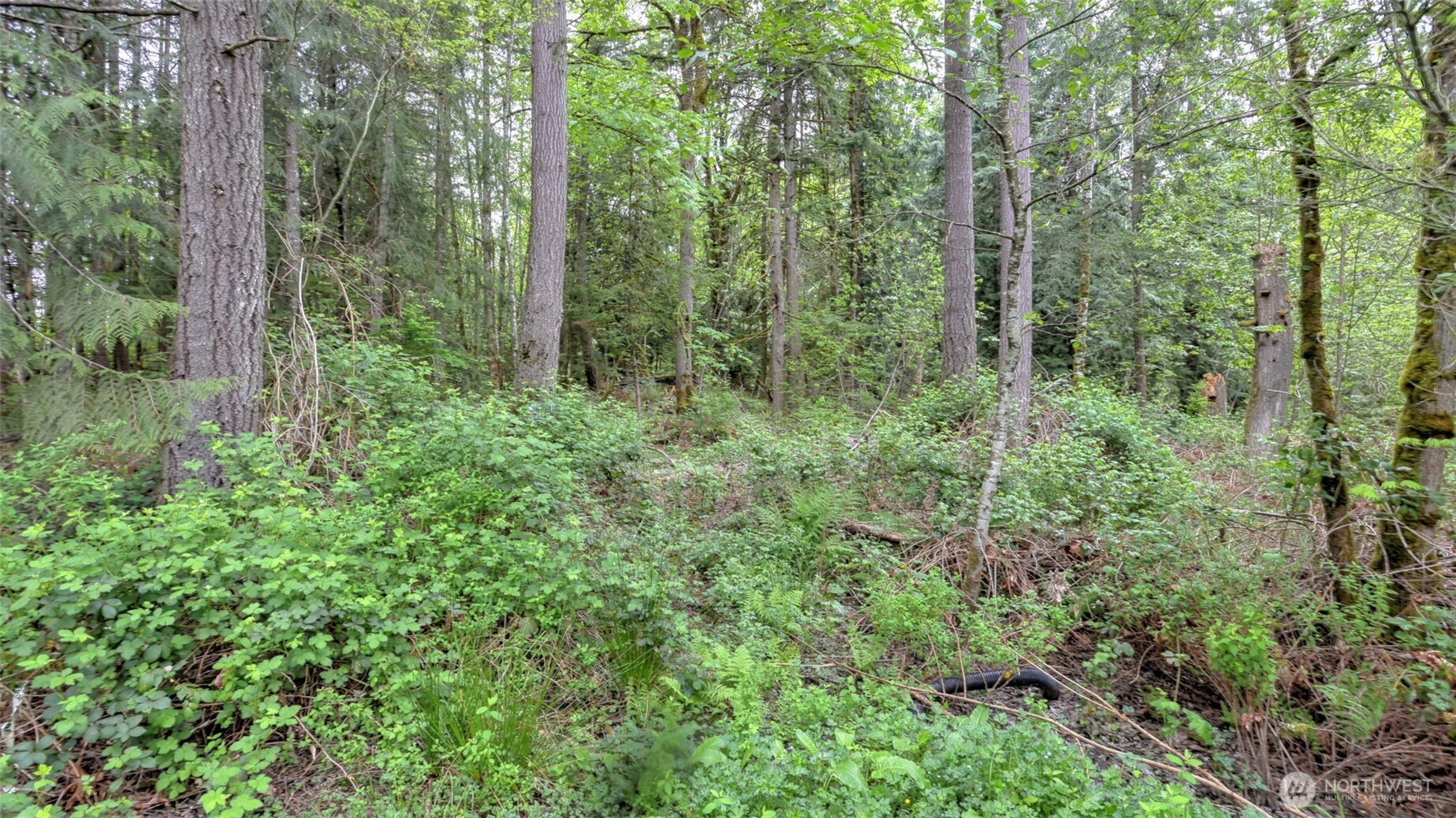 0 SE 311th Court , Covington, WA 98042