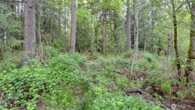 0 SE 311th Court , Covington, WA 98042 - Photo 5