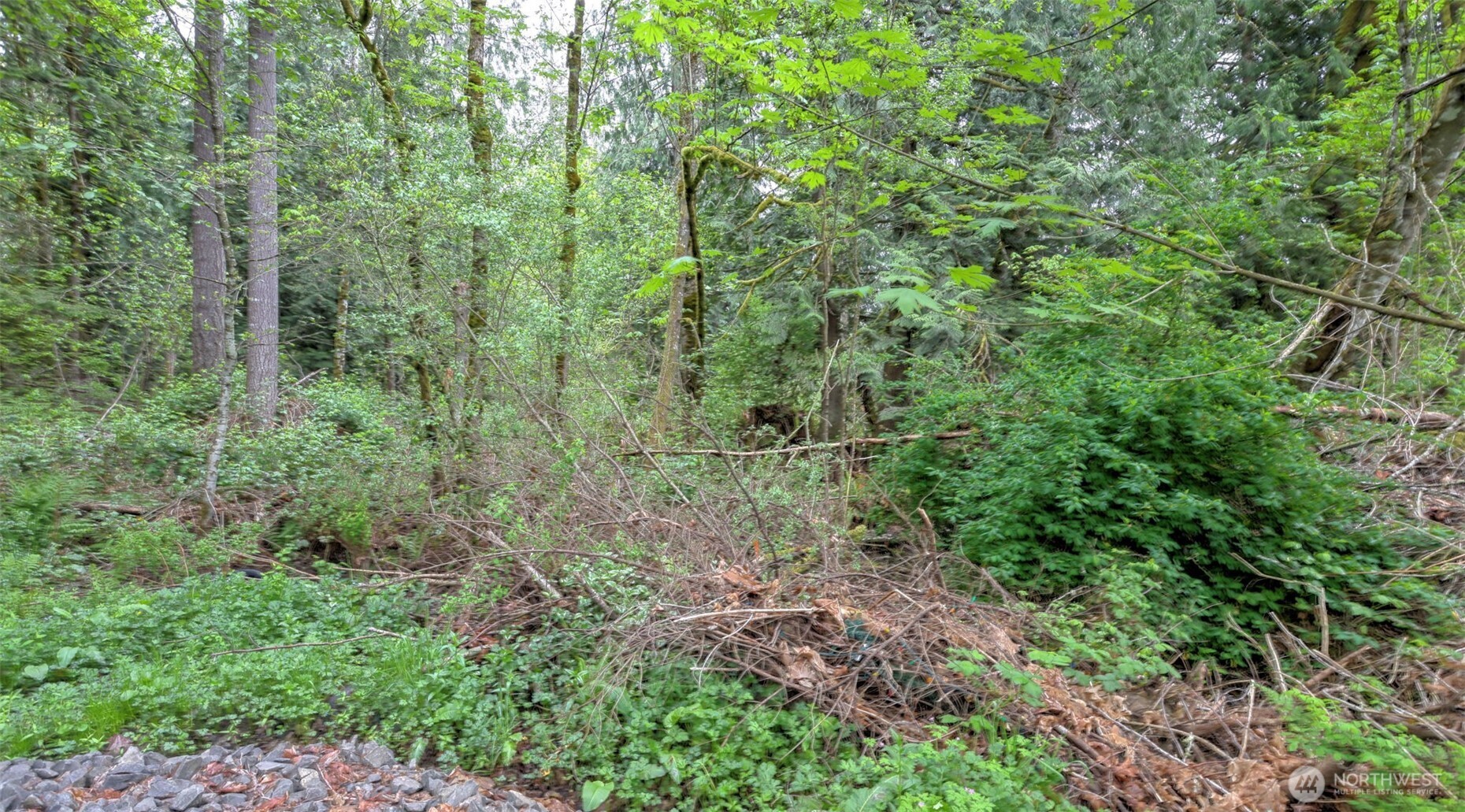 0 SE 311th Court , Covington, WA 98042