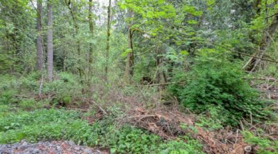 0 SE 311th Court , Covington, WA 98042 - Photo 7