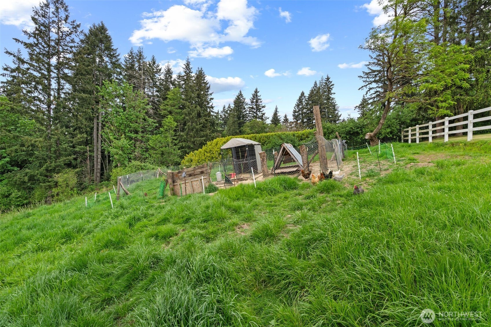 507 Williams Finney Road , Kelso, WA 98626
