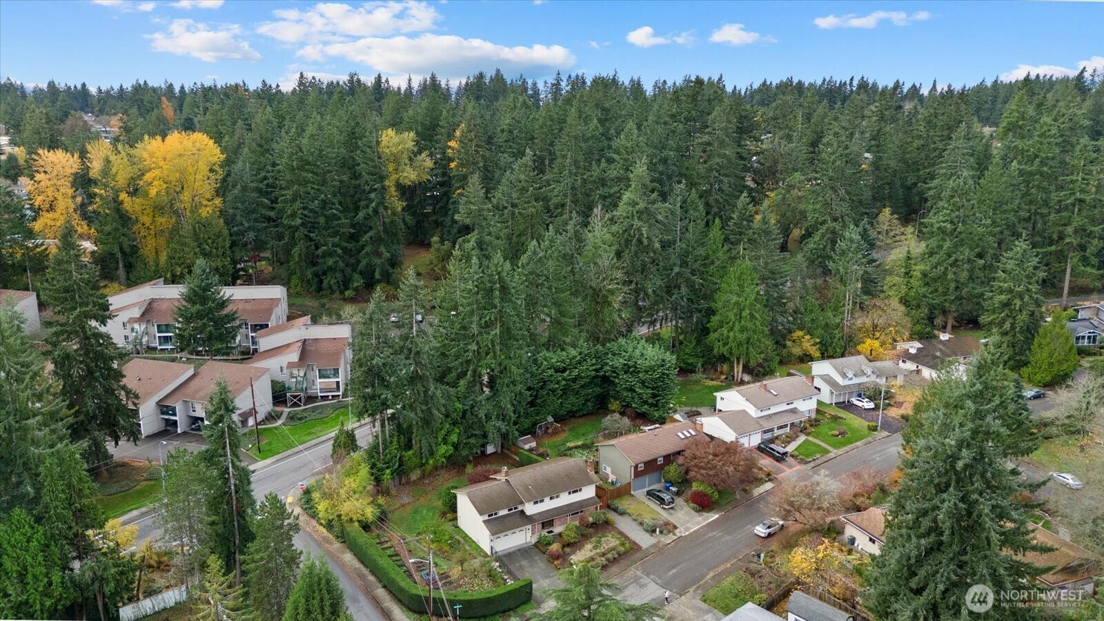 1007 174th Avenue NE, Bellevue, WA 98008