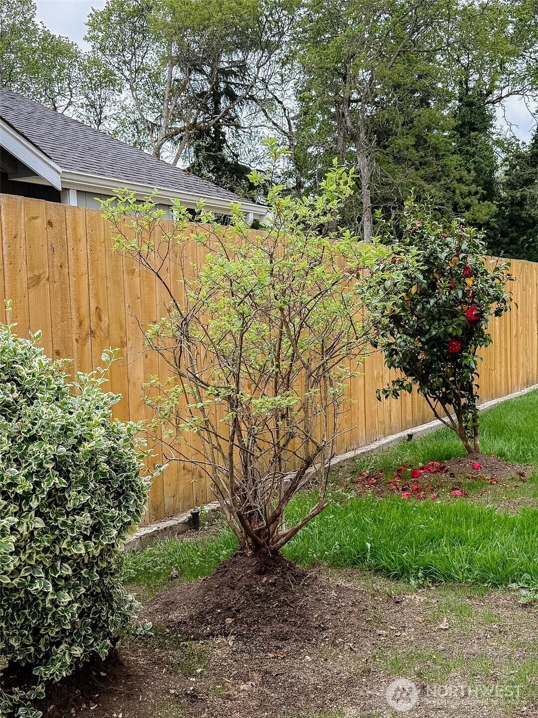 210 166th Street E, Spanaway, WA 98387