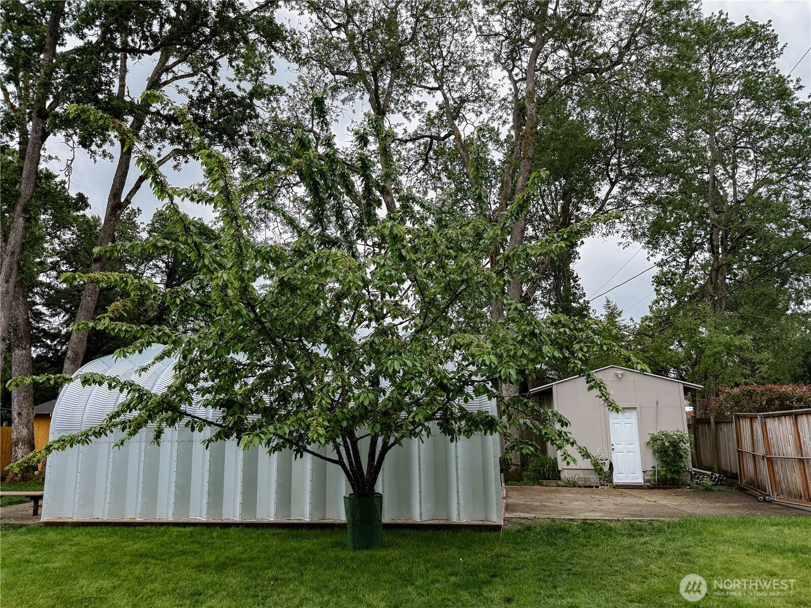 210 166th Street E, Spanaway, WA 98387