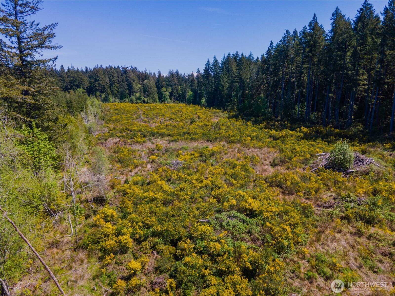 8600 Steamboat Island Road NW, Olympia, WA 98502