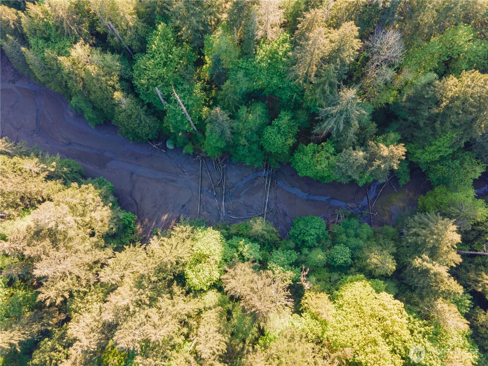 8600 Steamboat Island Road NW, Olympia, WA 98502