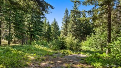 131 Goat Creek Lane , Cle Elum, WA 98922