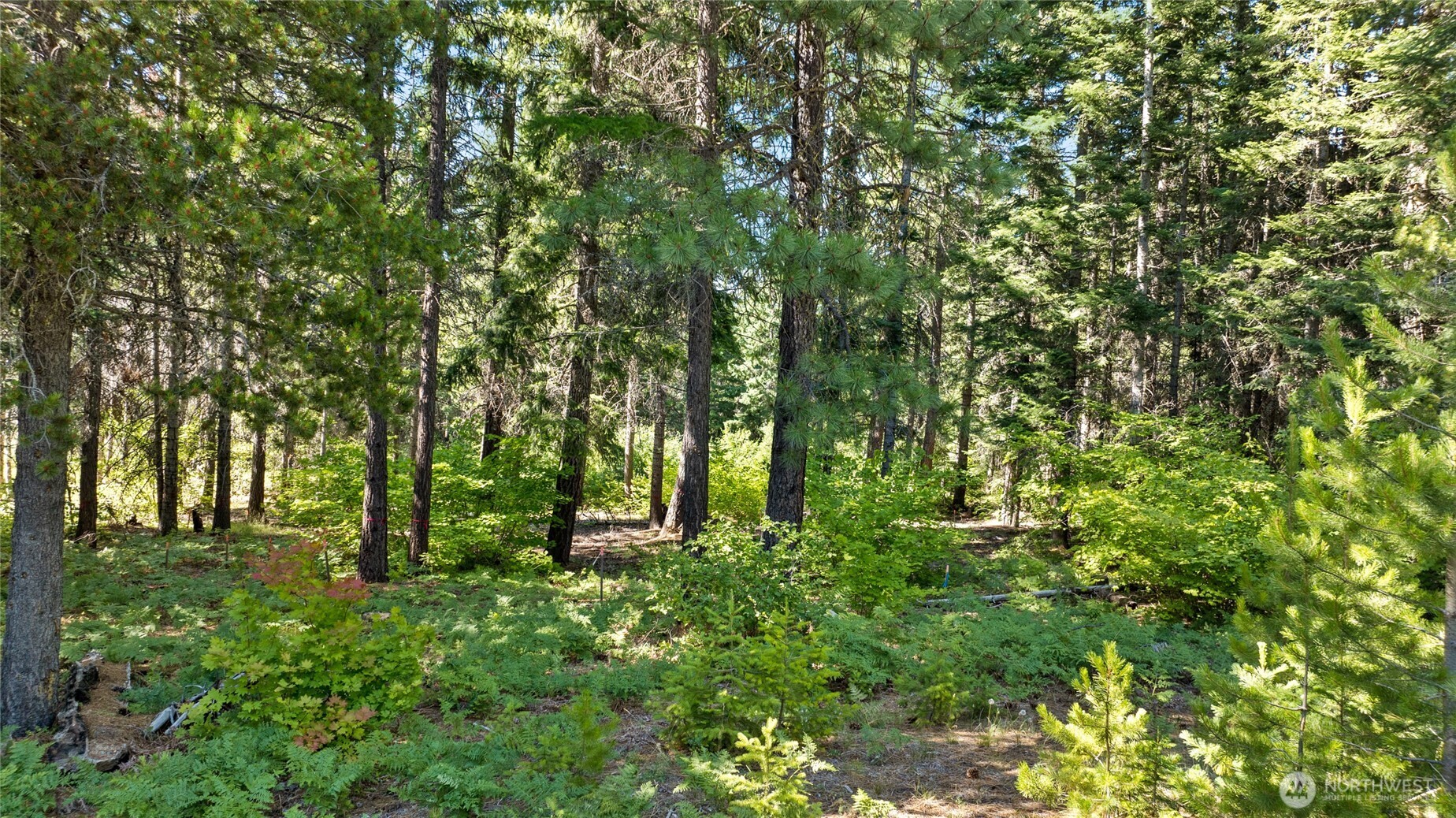 131 Goat Creek Lane , Cle Elum, WA 98922