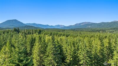 131 Goat Creek Lane , Cle Elum, WA 98922 - Photo 15