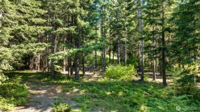 131 Goat Creek Lane , Cle Elum, WA 98922 - Photo 16
