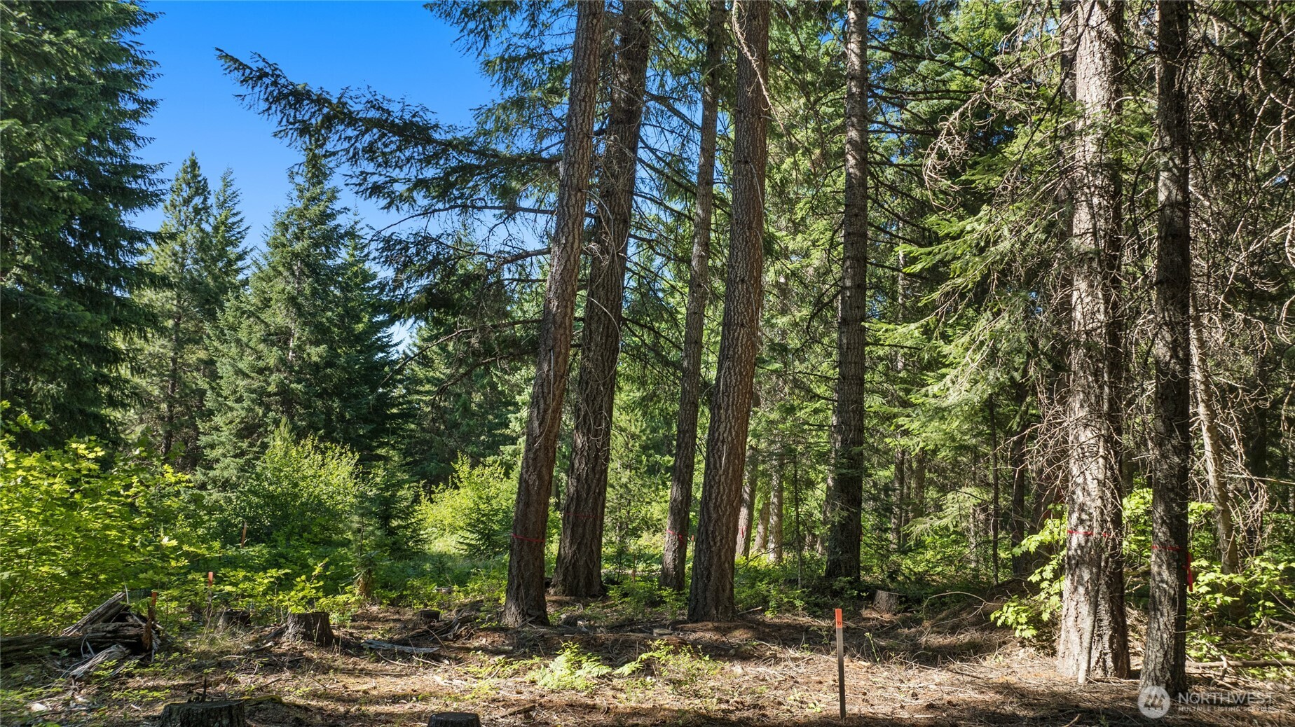 131 Goat Creek Lane , Cle Elum, WA 98922