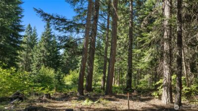 131 Goat Creek Lane , Cle Elum, WA 98922 - Photo 17