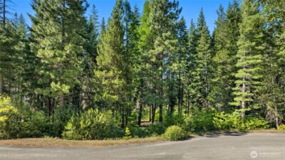 131 Goat Creek Lane , Cle Elum, WA 98922 - Photo 4