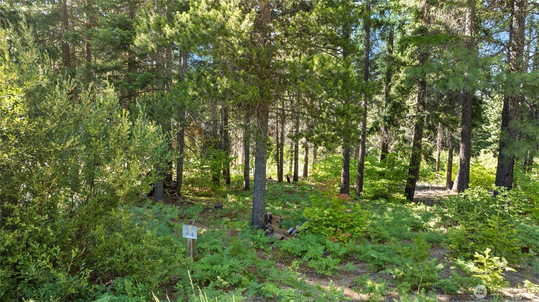 131 Goat Creek Lane , Cle Elum, WA 98922