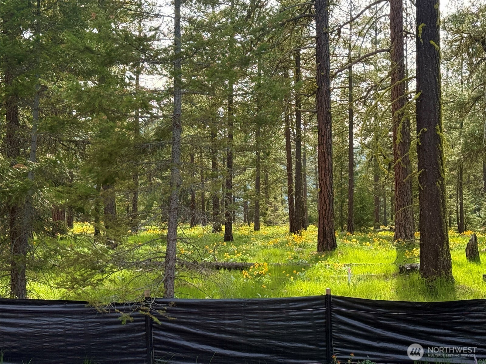 131 Plateau Loop , Cle Elum, WA 98922