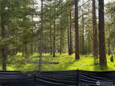 131 Plateau Loop , Cle Elum, WA 98922 - Photo 5