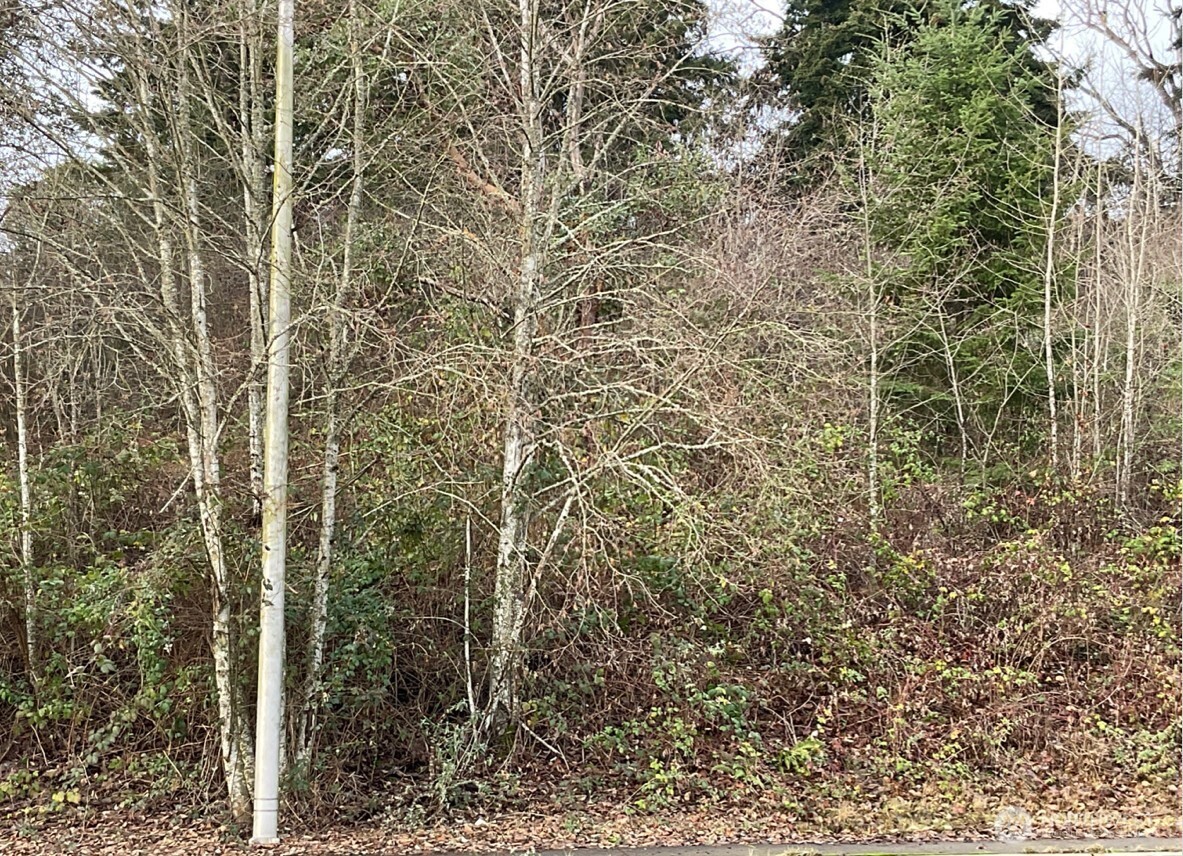 6016 S Tyler Street , Tacoma, WA 98409
