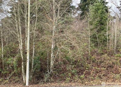 6016 S Tyler Street , Tacoma, WA 98409