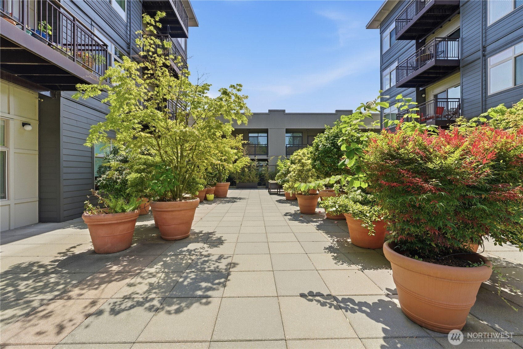 3333 Wallingford Avenue N #203, Seattle, WA 98103-9001