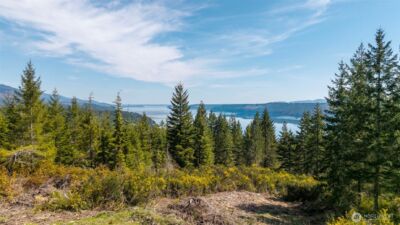 778899 N Hamma Ridge Drive , Lilliwaup, WA 98555 - Photo 1