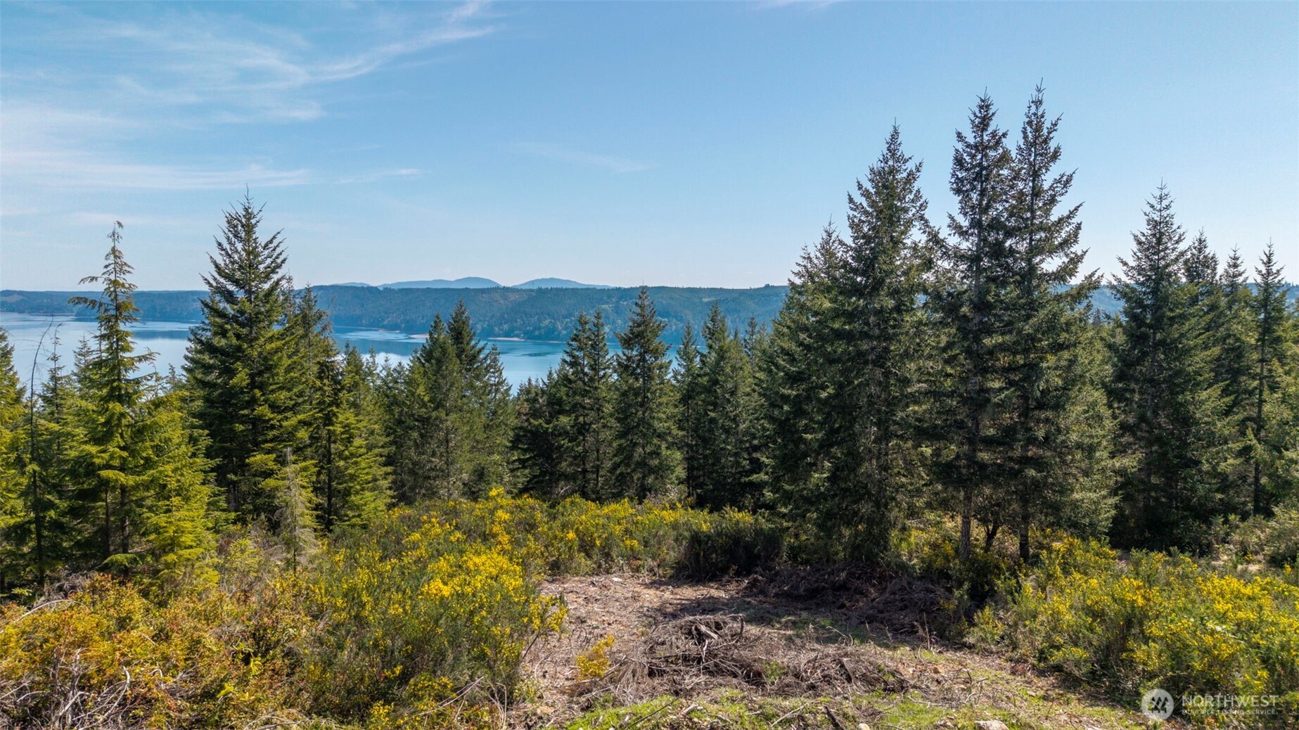 778899 N Hamma Ridge Drive , Lilliwaup, WA 98555