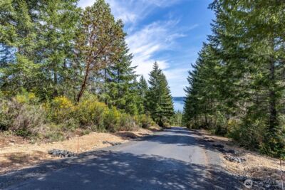 778899 N Hamma Ridge Drive , Lilliwaup, WA 98555 - Photo 11