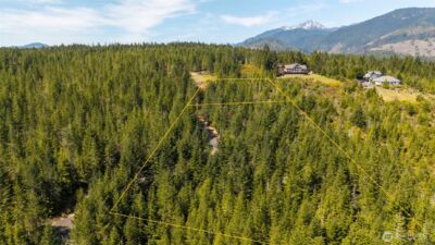 778899 N Hamma Ridge Drive , Lilliwaup, WA 98555 - Photo 3