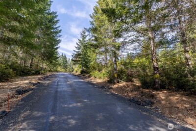778899 N Hamma Ridge Drive , Lilliwaup, WA 98555 - Photo 6