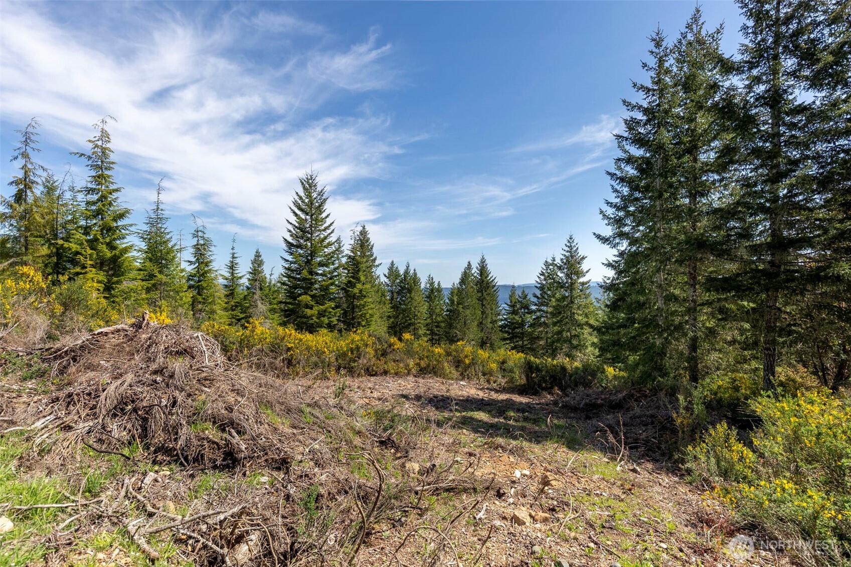 778899 N Hamma Ridge Drive , Lilliwaup, WA 98555