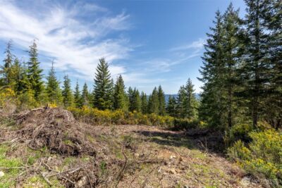 778899 N Hamma Ridge Drive , Lilliwaup, WA 98555 - Photo 9