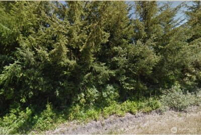 814 Vagabond Avenue SW, Ocean Shores, WA 98569