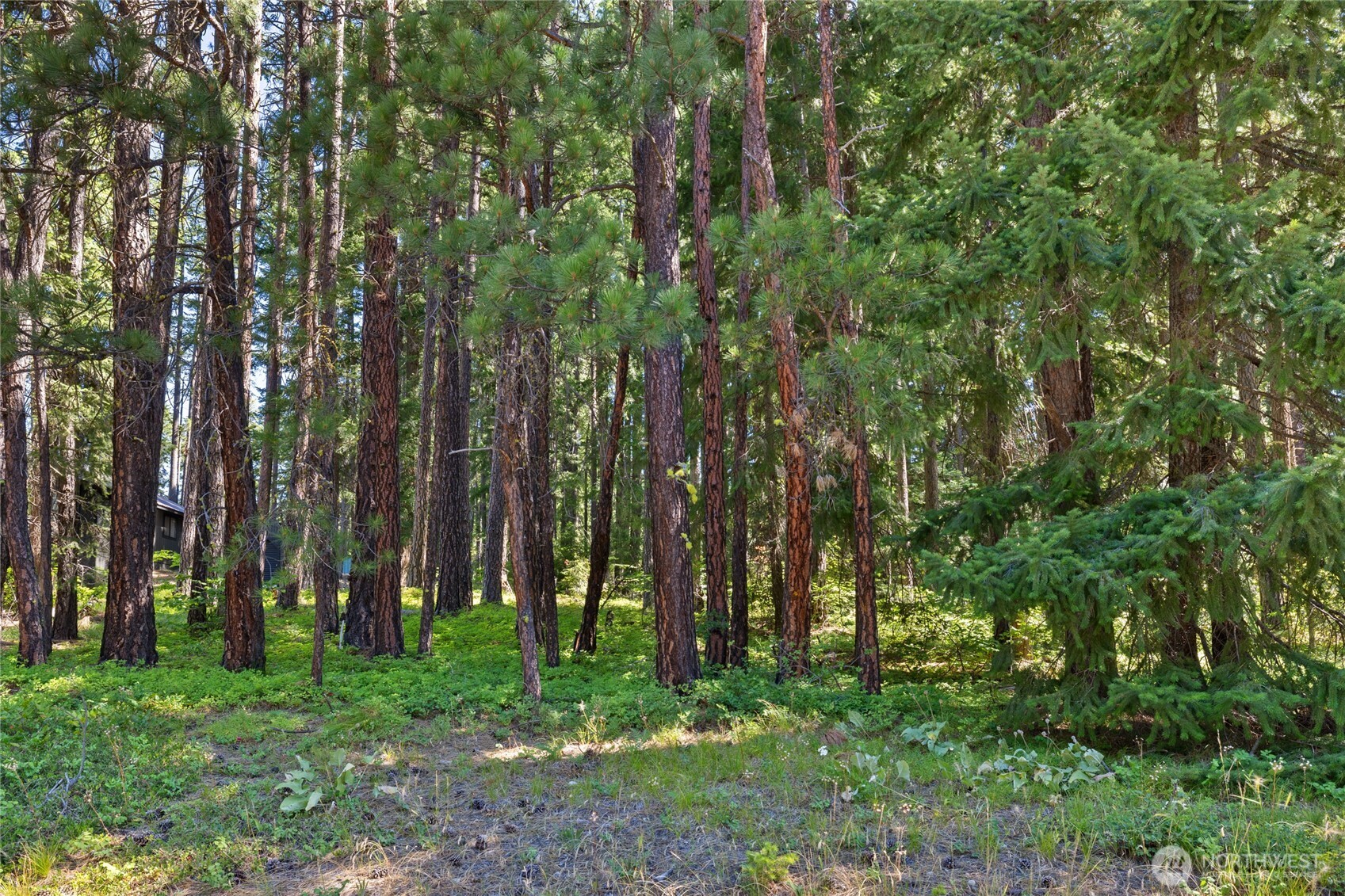 0 Lot 10 S Lake Cabins Road , Ronald, WA 98940