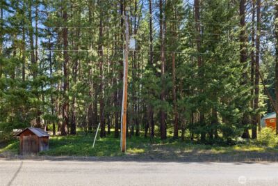 0 Lot 10 S Lake Cabins Road , Ronald, WA 98940 - Photo 2