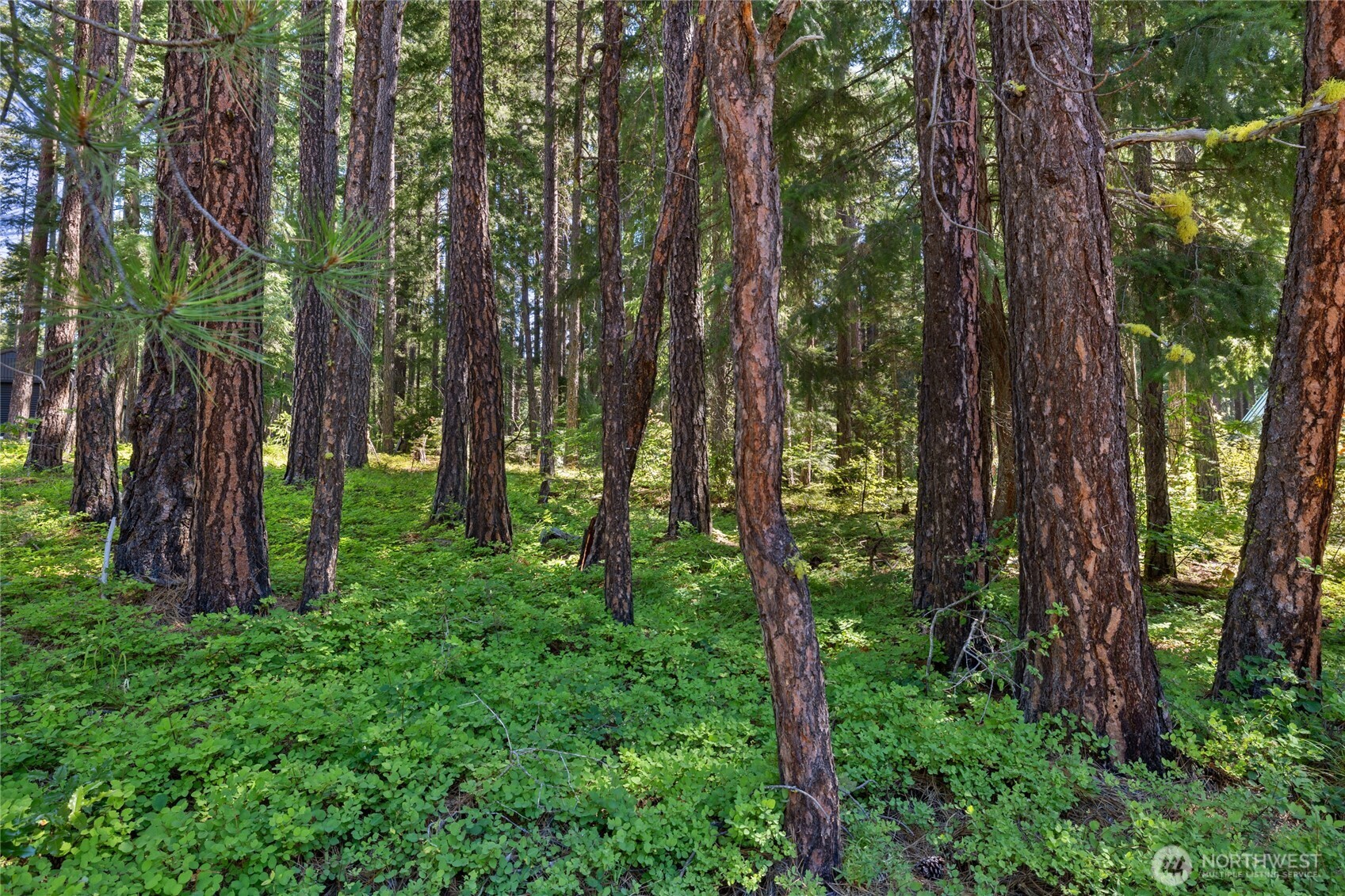 0 Lot 10 S Lake Cabins Road , Ronald, WA 98940