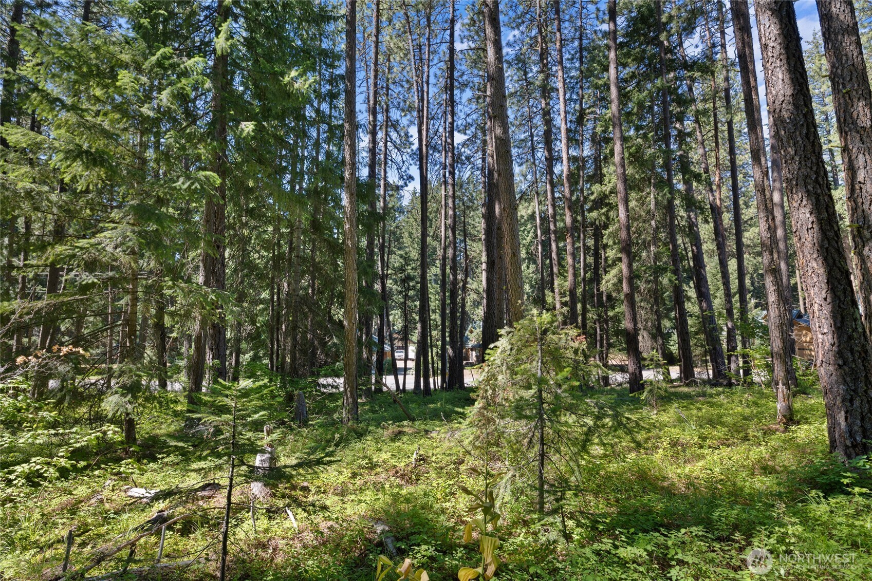 0 Lot 10 S Lake Cabins Road , Ronald, WA 98940