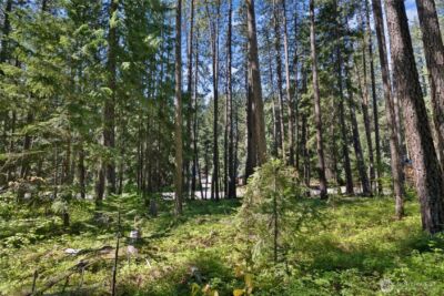 0 Lot 10 S Lake Cabins Road , Ronald, WA 98940 - Photo 4
