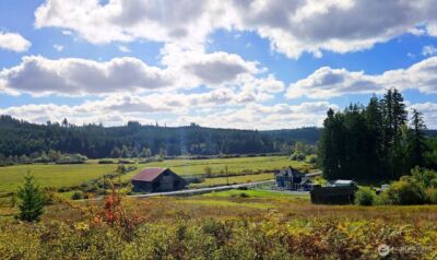 1604 Lincoln Creek Road , Rochester, WA 98579 - Photo 39