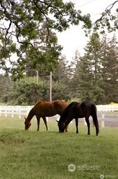 4716 266th Street E, Spanaway, WA 98387