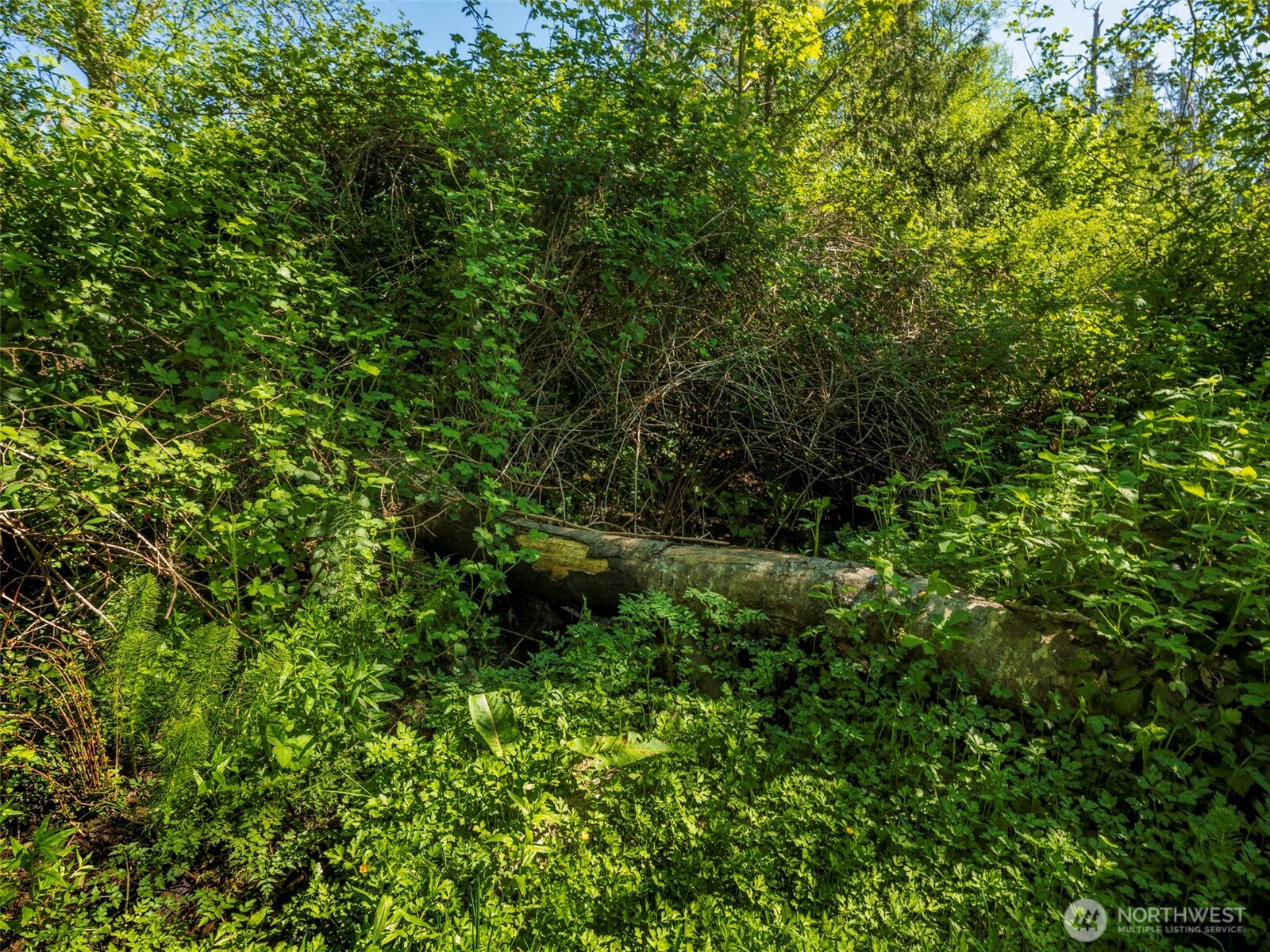 274192 E Hwy 101 , Sequim, WA 98382