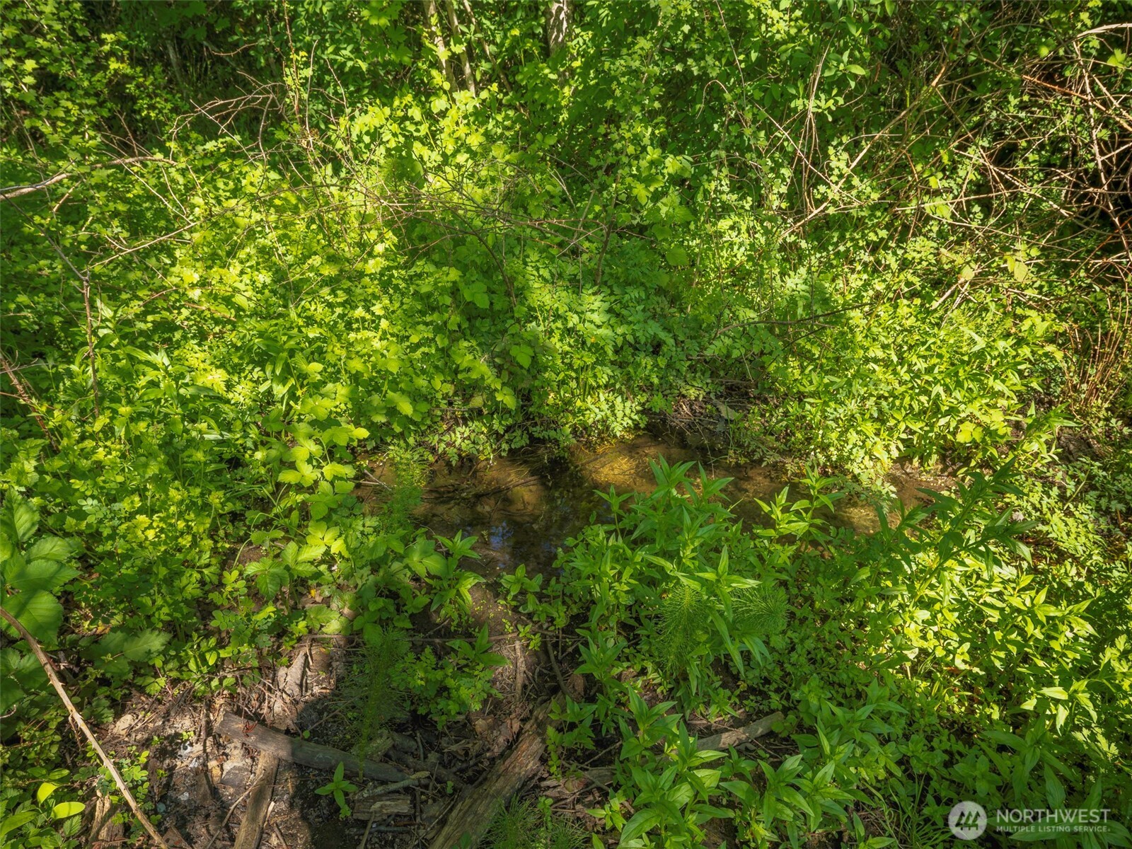274192 E Hwy 101 , Sequim, WA 98382